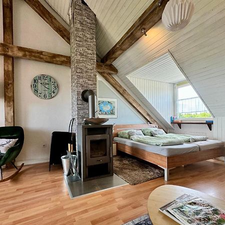 Hof Vierzehnender Im Hohen Venn - 70Qm Fachwerk-Studio - Grosses Wohn-Schlafzimmer Mit Dachterrasse Und Kaminofen - Separate Kueche - Perfekt Fuer Paare - Monschau - Eifel - Hunde Willkommen - Islandpferde Экстерьер фото
