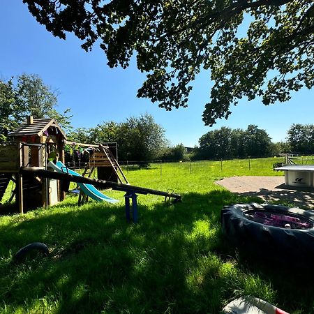 Hof Vierzehnender Im Hohen Venn - 70Qm Fachwerk-Studio - Grosses Wohn-Schlafzimmer Mit Dachterrasse Und Kaminofen - Separate Kueche - Perfekt Fuer Paare - Monschau - Eifel - Hunde Willkommen - Islandpferde Экстерьер фото