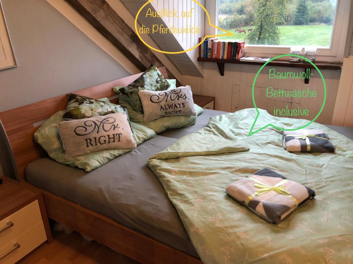 Hof Vierzehnender Im Hohen Venn - 70Qm Fachwerk-Studio - Grosses Wohn-Schlafzimmer Mit Dachterrasse Und Kaminofen - Separate Kueche - Perfekt Fuer Paare - Monschau - Eifel - Hunde Willkommen - Islandpferde Экстерьер фото