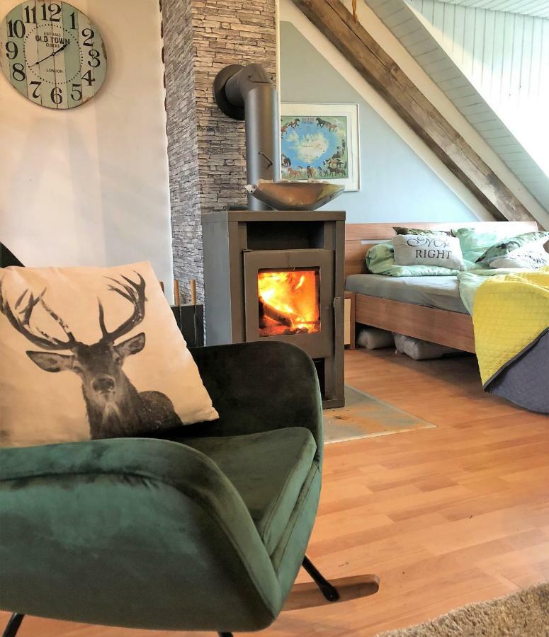 Hof Vierzehnender Im Hohen Venn - 70Qm Fachwerk-Studio - Grosses Wohn-Schlafzimmer Mit Dachterrasse Und Kaminofen - Separate Kueche - Perfekt Fuer Paare - Monschau - Eifel - Hunde Willkommen - Islandpferde Экстерьер фото