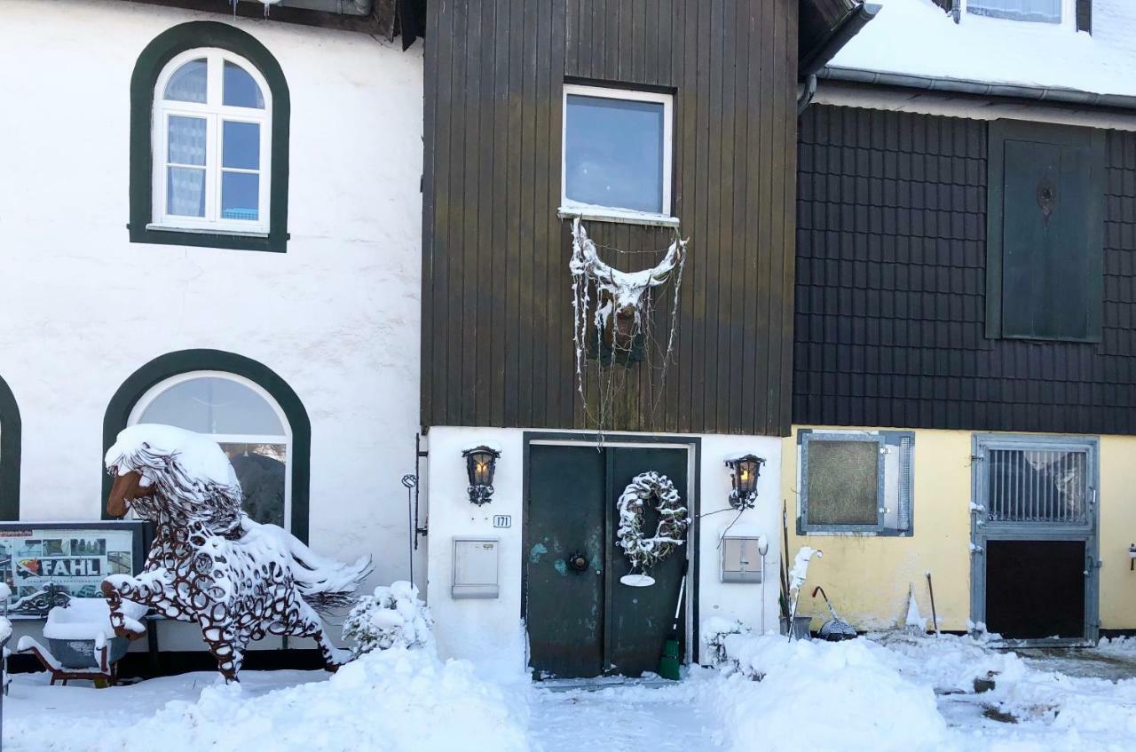 Hof Vierzehnender Im Hohen Venn - 70Qm Fachwerk-Studio - Grosses Wohn-Schlafzimmer Mit Dachterrasse Und Kaminofen - Separate Kueche - Perfekt Fuer Paare - Monschau - Eifel - Hunde Willkommen - Islandpferde Экстерьер фото